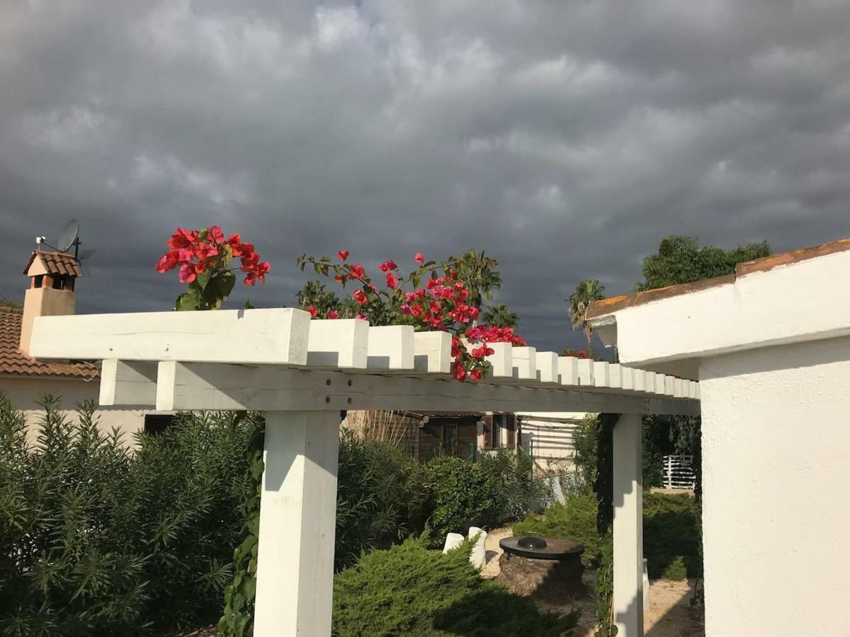 Casa Eucaliptus Villa L'Eucaliptus Dış mekan fotoğraf